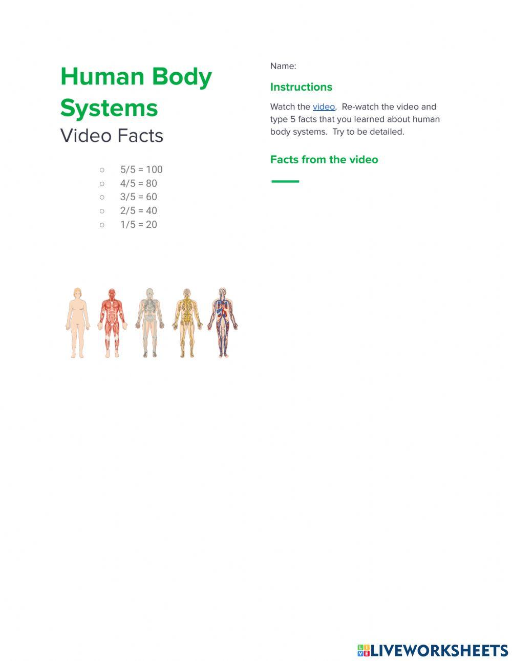 Human Body Systems Video Facts