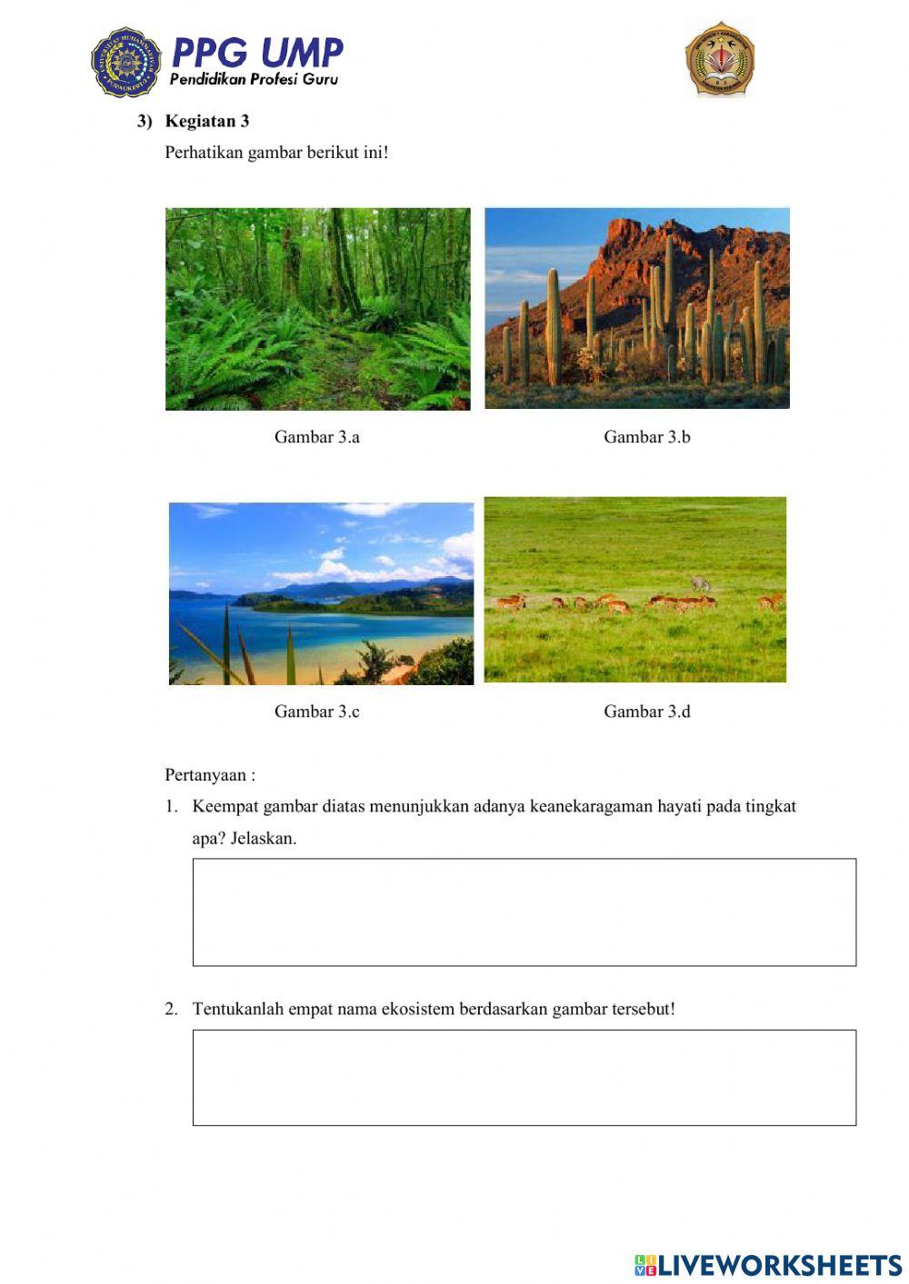 Lkpd tingkatan keanekaragaman hayati