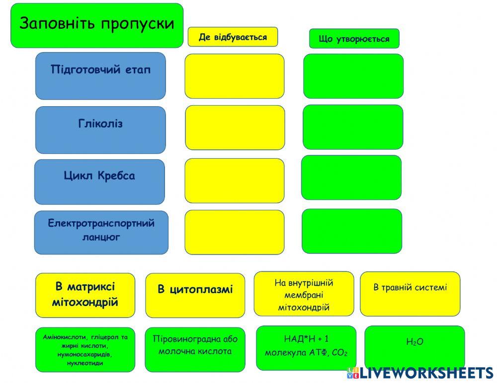 Енергетичний обмін