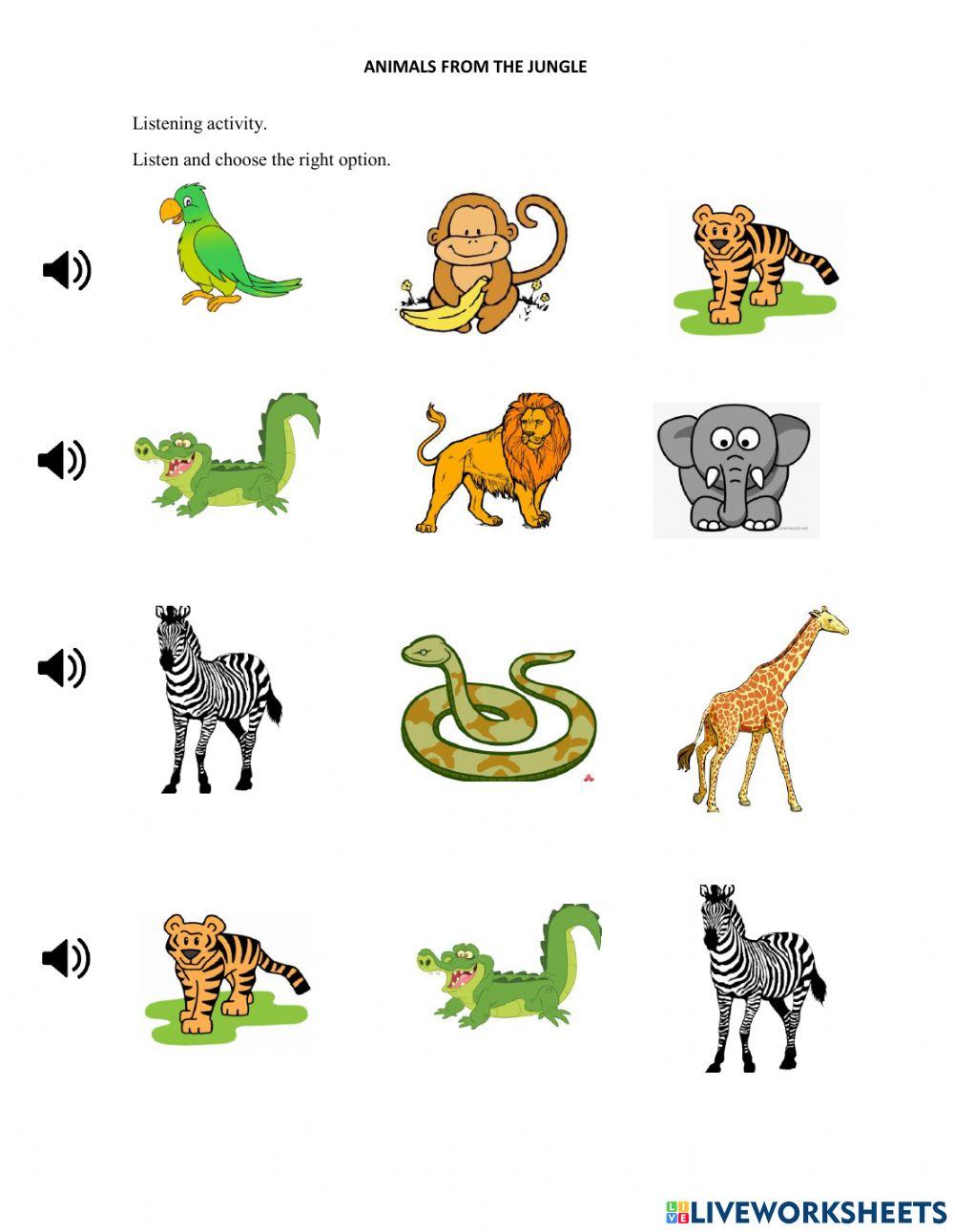 Animals from the jungle