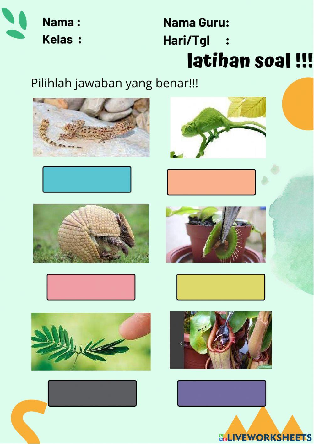 Lkpd ciri -ciri makhluk hidup