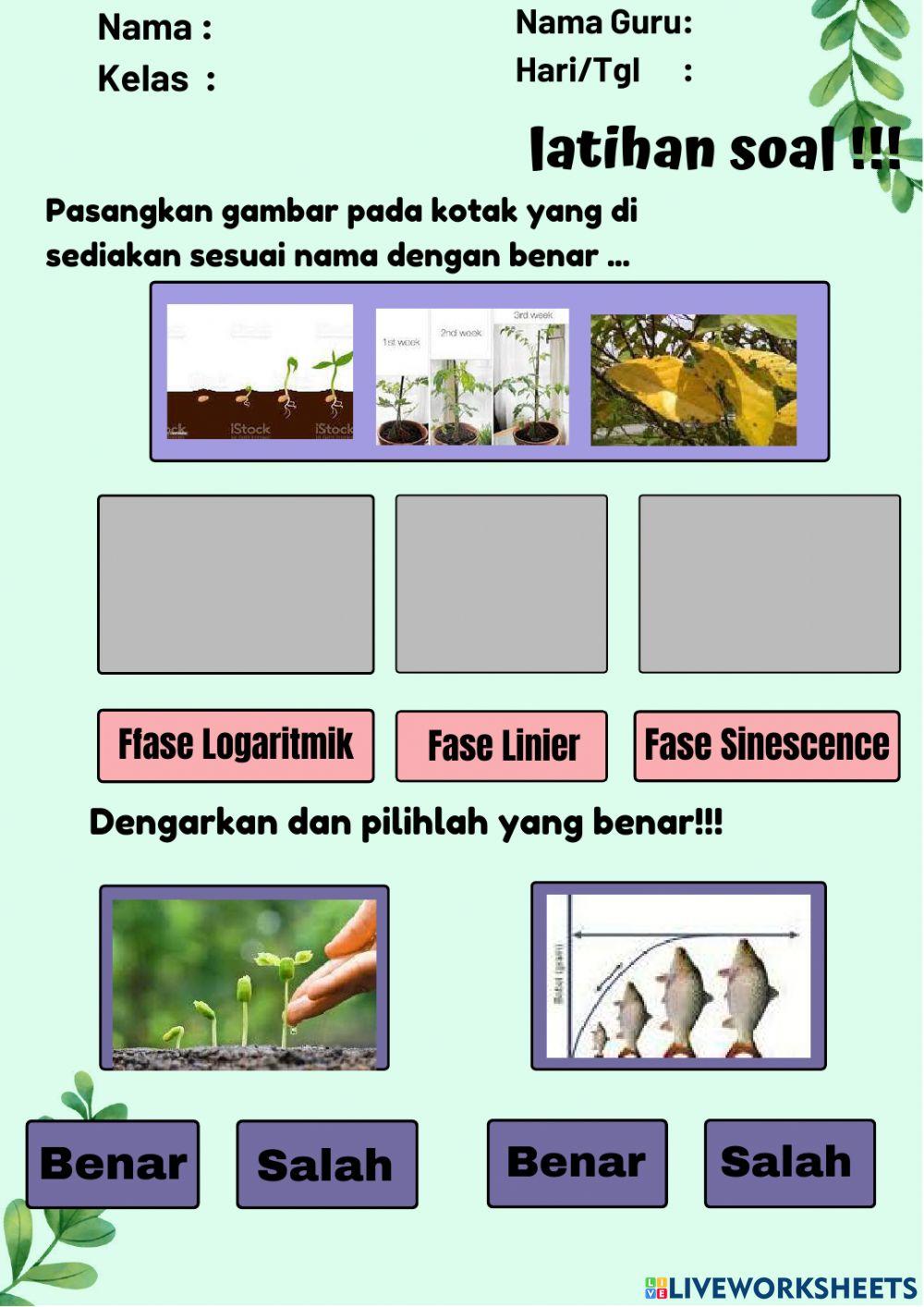 Lkpd ciri -ciri makhluk hidup