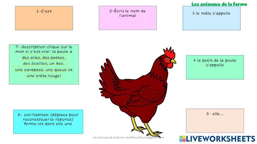 La poule