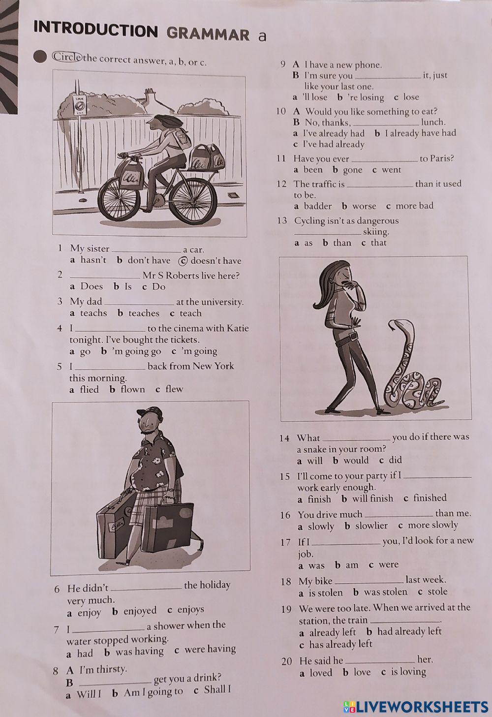 Introduction Grammar Quiz