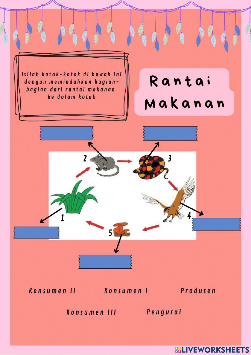 LKPD IPA: Ekosistem Kelas V