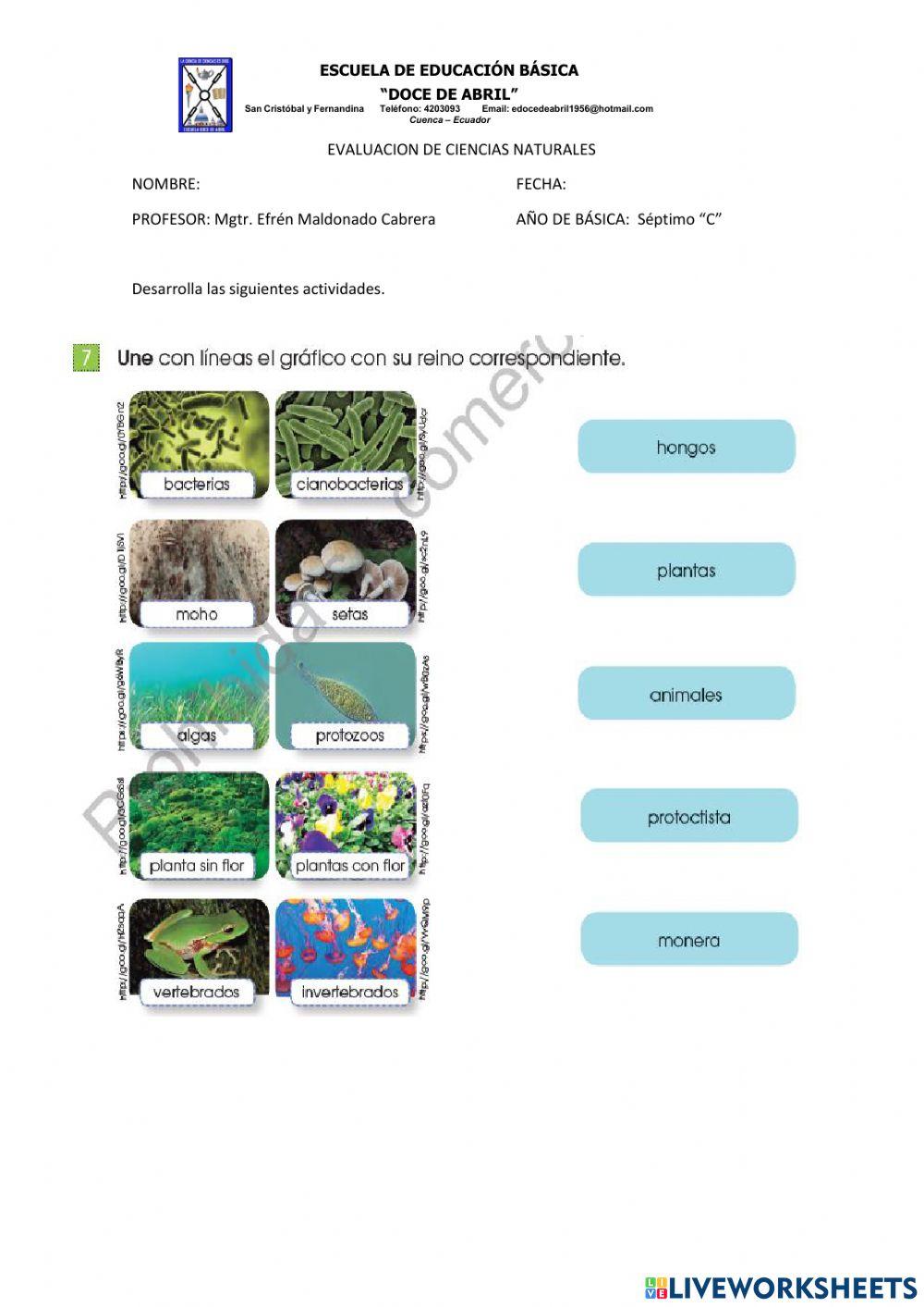 Clasificacion de los seres vivos