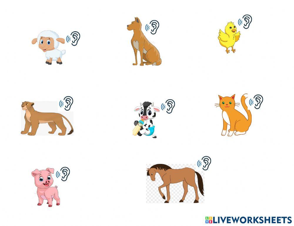 Mother animals and their babies