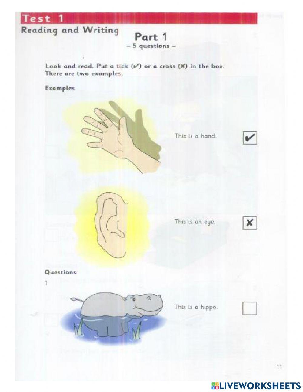 Reading and writing cambrige starters