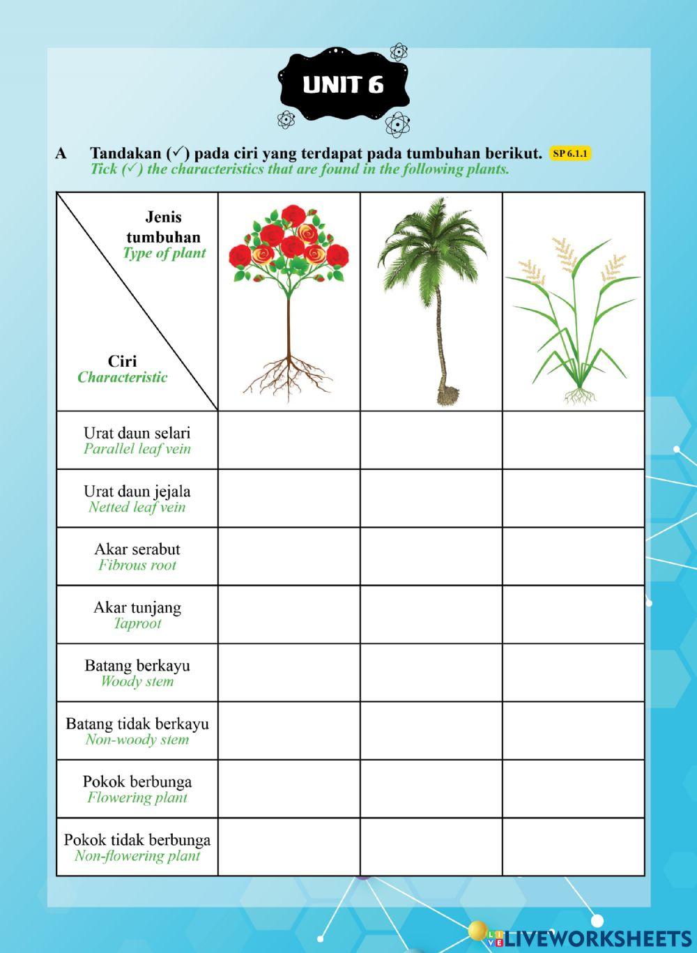 Tutor Sukses 2023 - 24 Sains Tahun 1-Unit 6