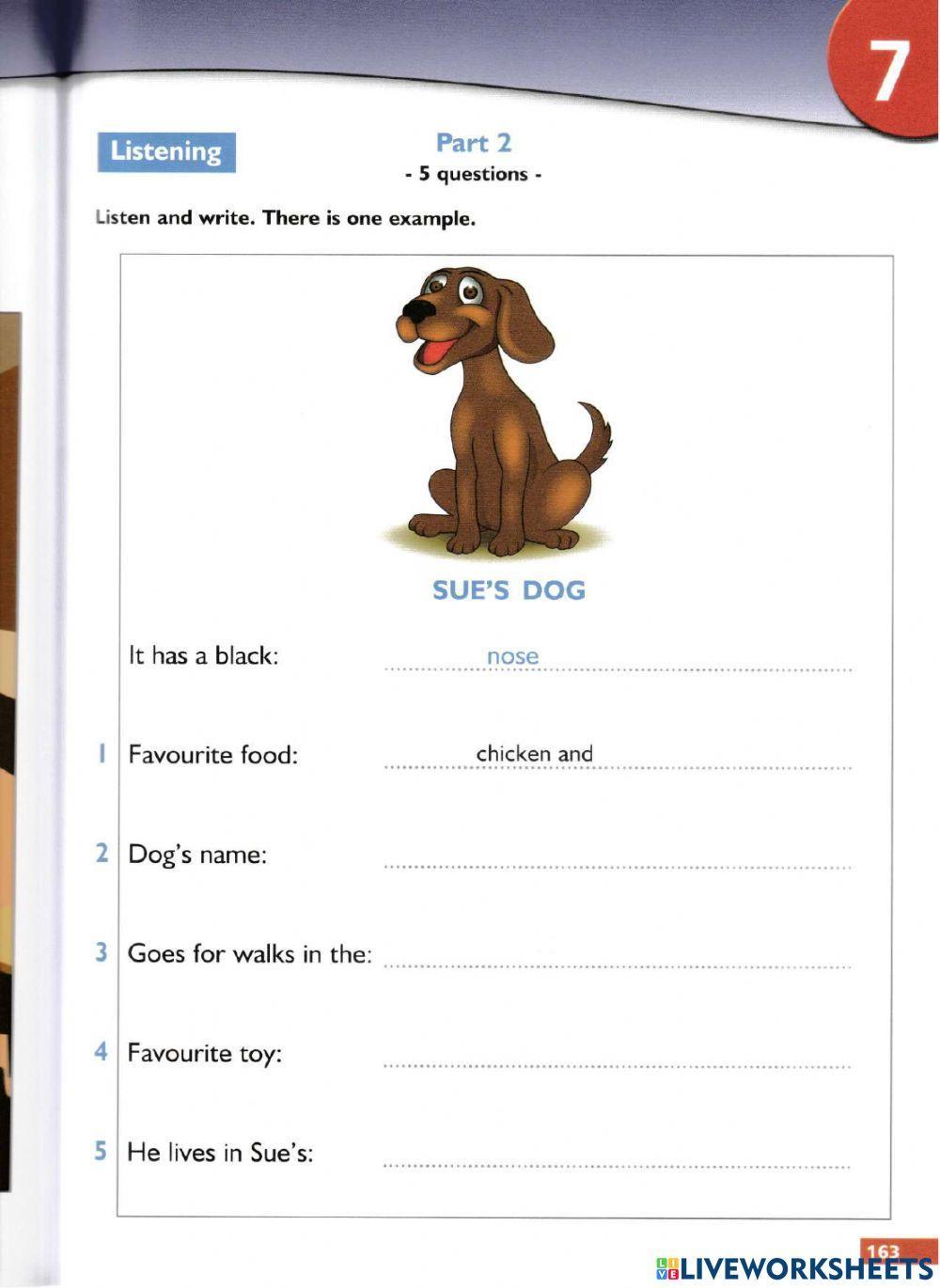 Succeed Movers Listening Test 7