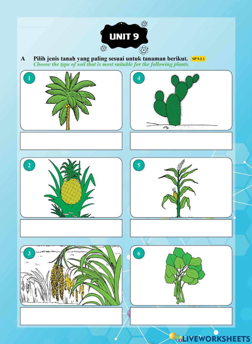 Tutor Sukses 2023 - 24 Sains Tahun 1-Unit 9