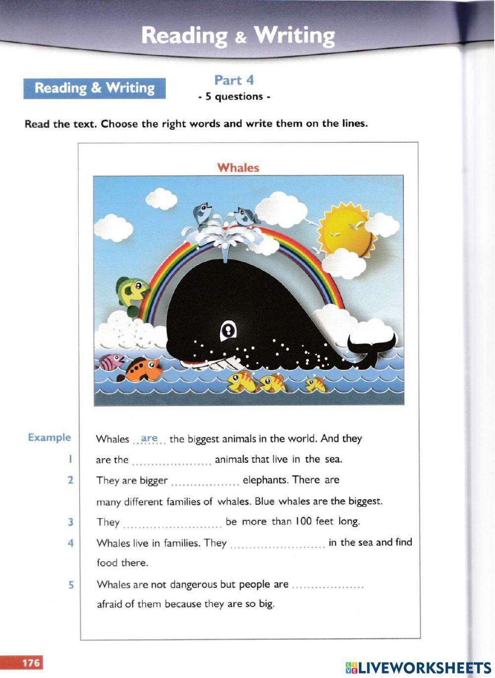 Succeed Movers Reading and writing test 7