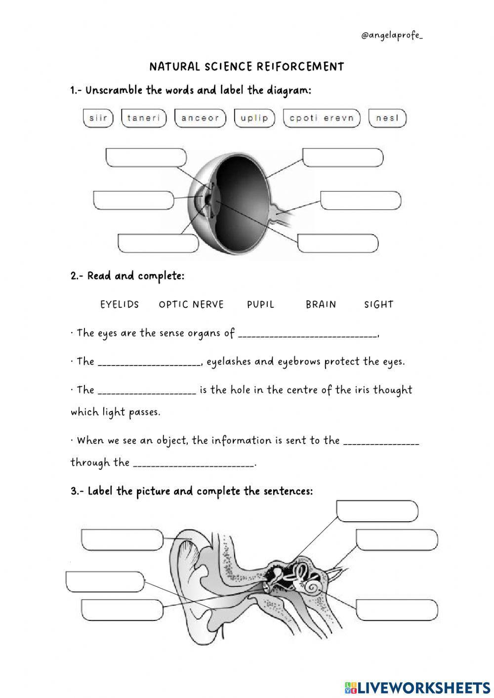 Sense organs and health