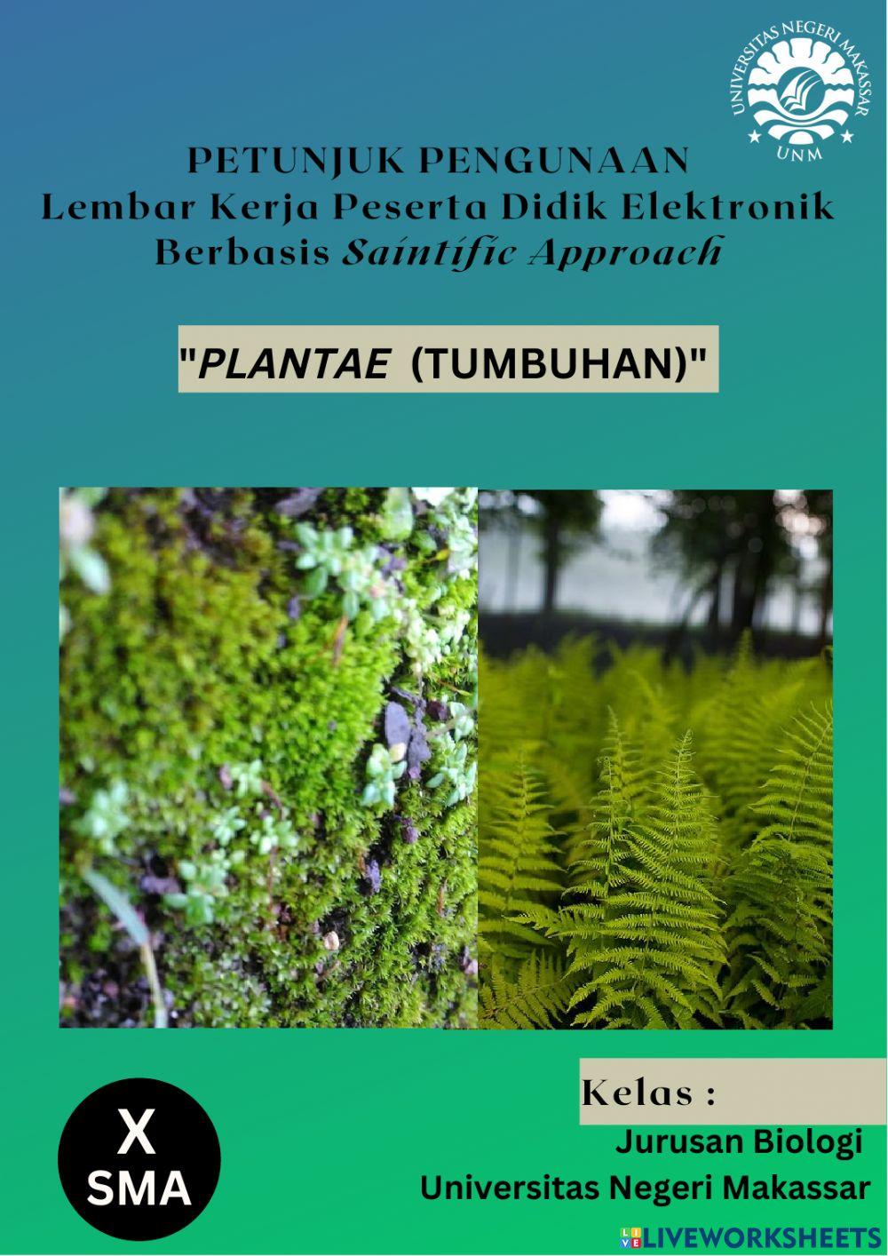 Petunjuk Penggunaan LKPD Elektronik