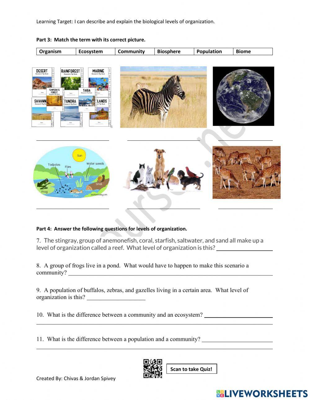 Levels of Biological Organization Interactive Activity