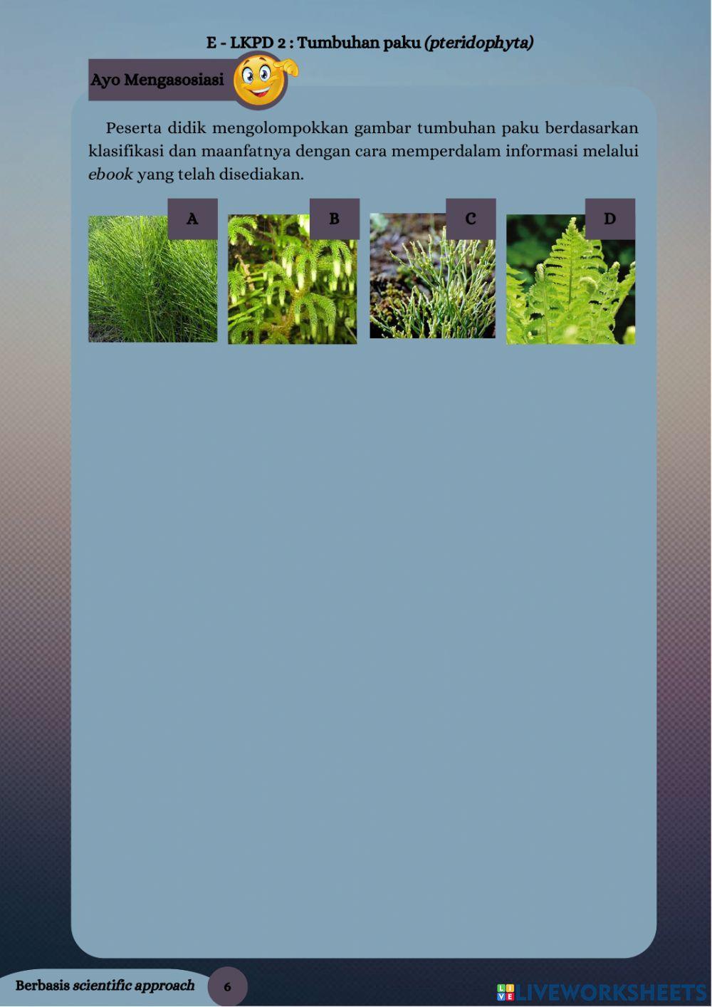 LKPD Elektronik Tumbuhan paku