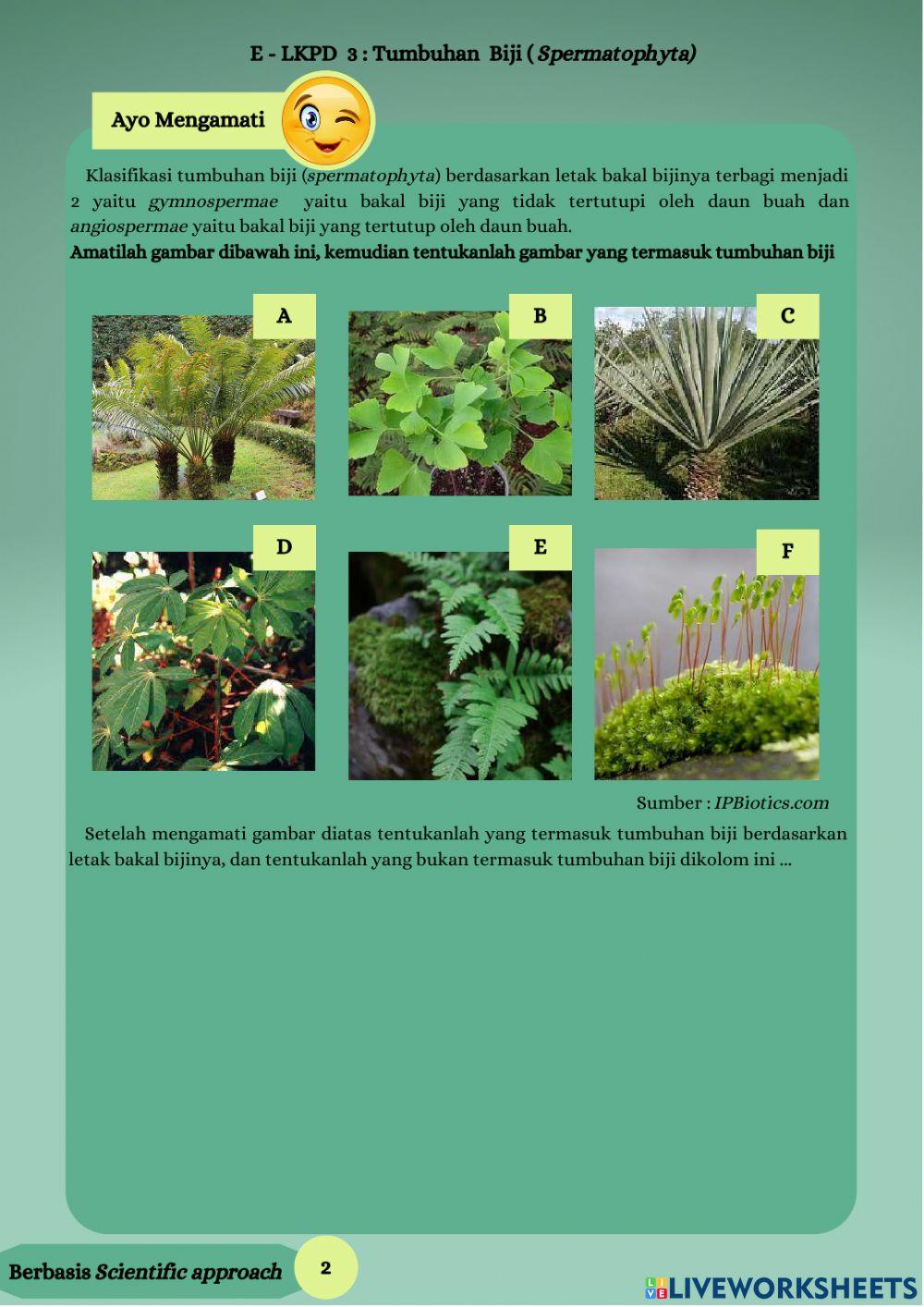 LKPD Elektronik Tumbuhan Biji