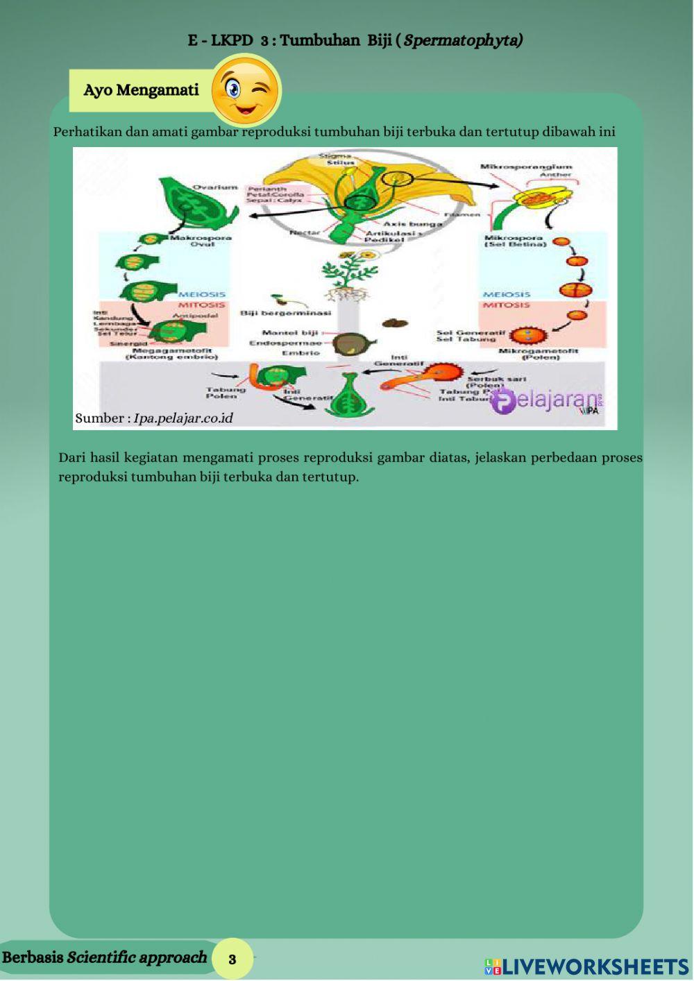 LKPD Elektronik Tumbuhan Biji