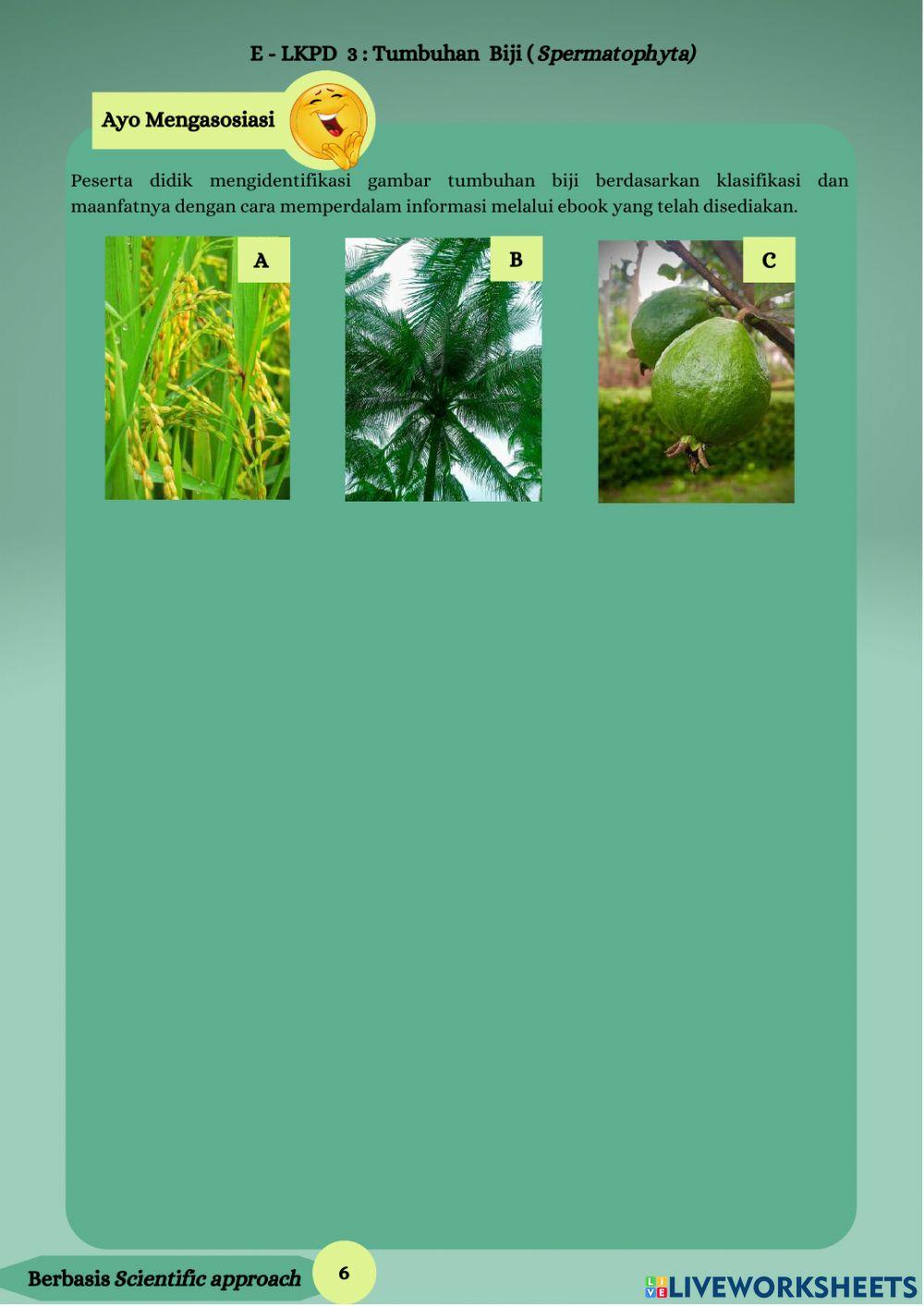 LKPD Elektronik Tumbuhan Biji