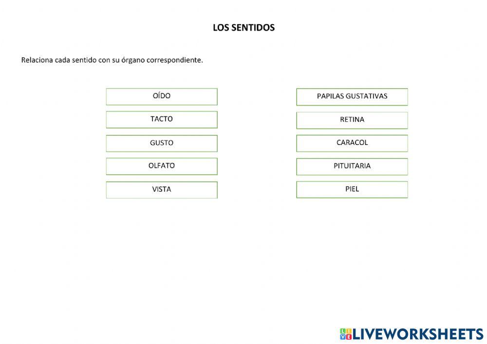 Los sentidos