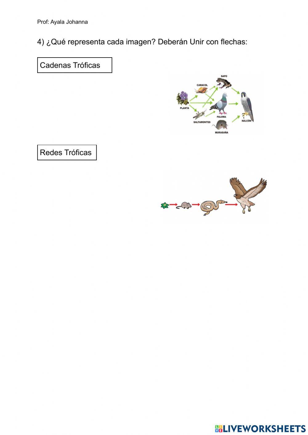 Factores bioticos y abioticos