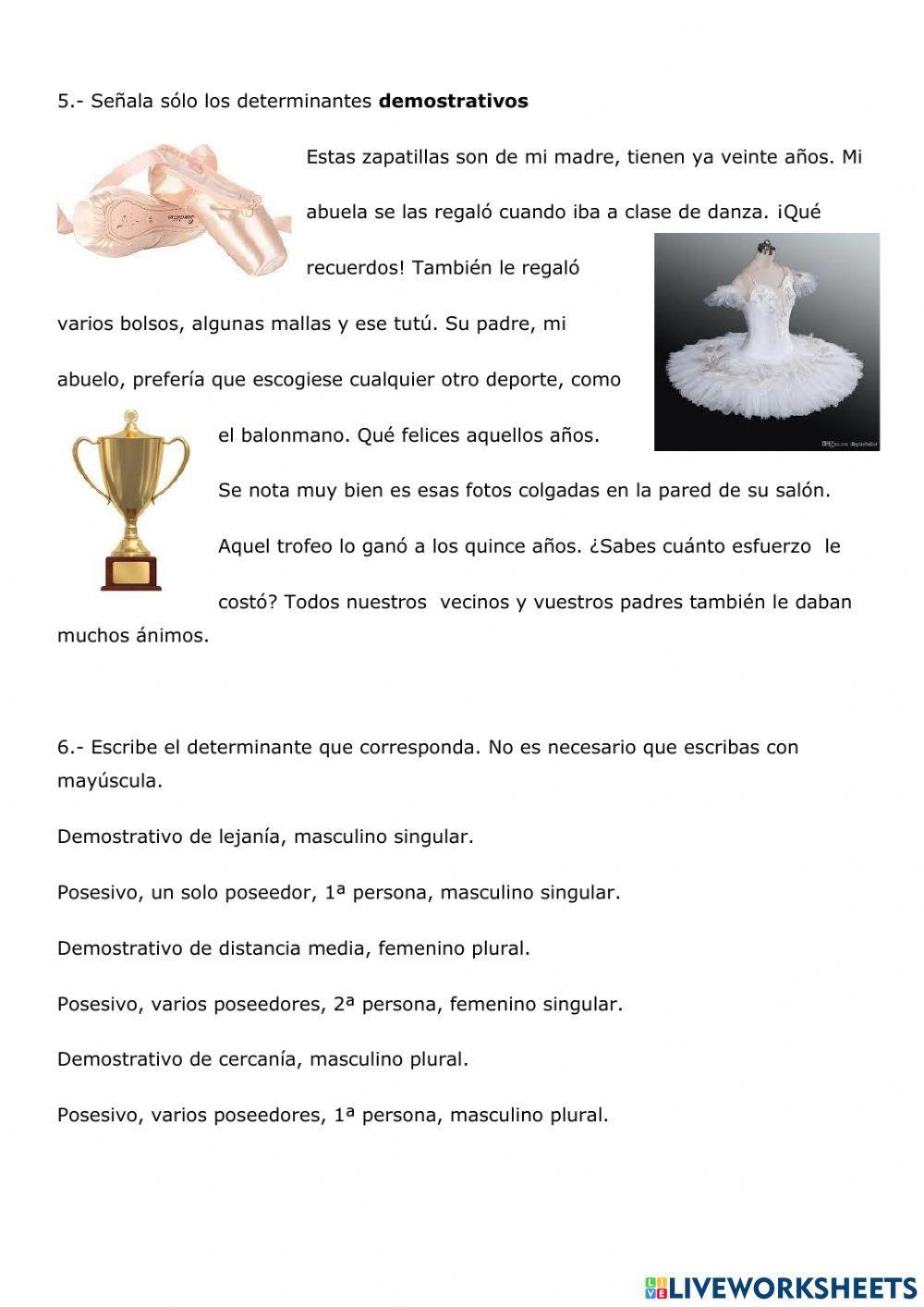Control adjetivos y determinantes