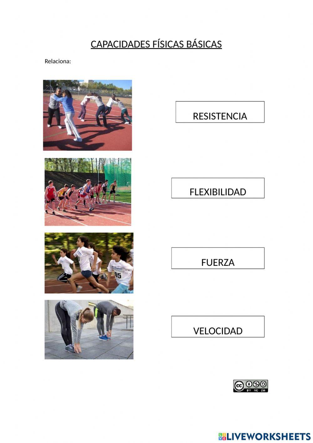 Capacidades físicas