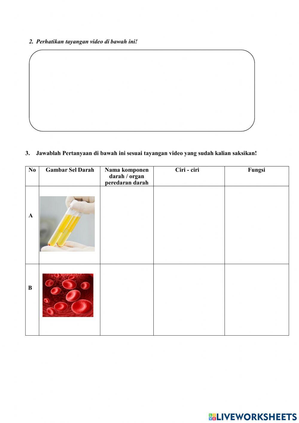 Sistem Peredaran Darah