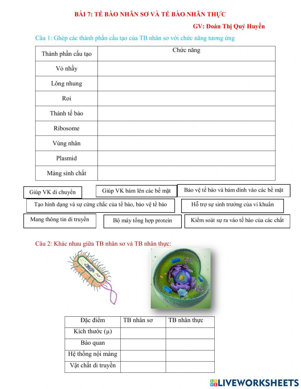 Bài 7: tế bào nahan sơ và tế bào nhân thực