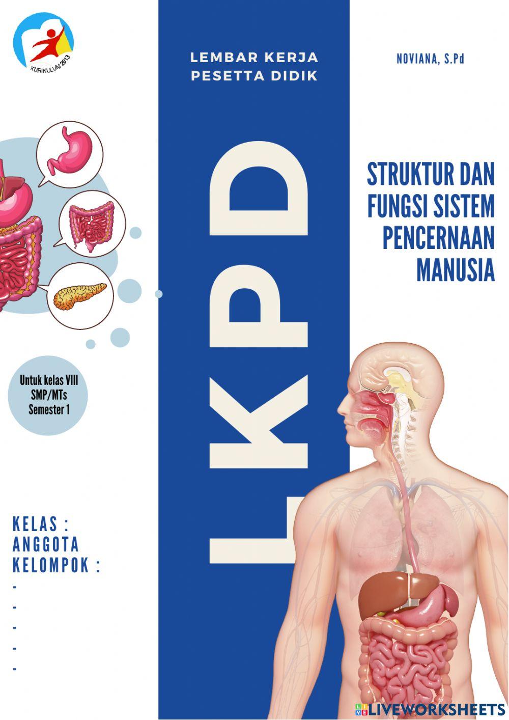 LKPD struktur dan fungsi sistem pencernaan