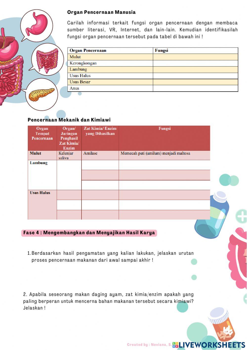 LKPD struktur dan fungsi sistem pencernaan