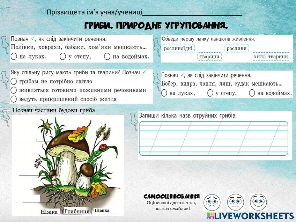 Гриби. Природні угруповання.