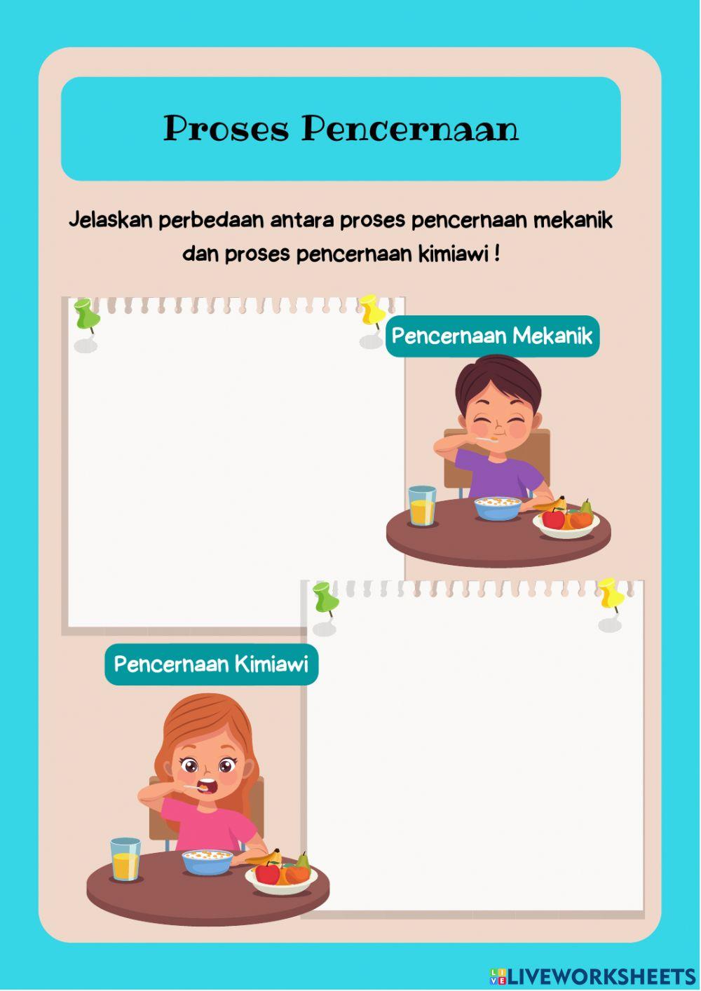 LKPD Sistem Pencernaan