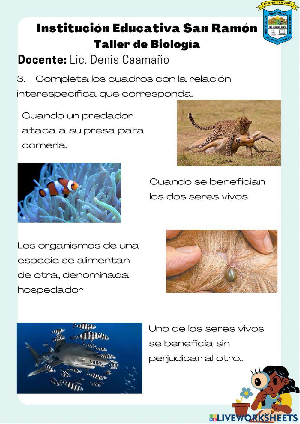 Circulación de la Energía en los Ecosistemas