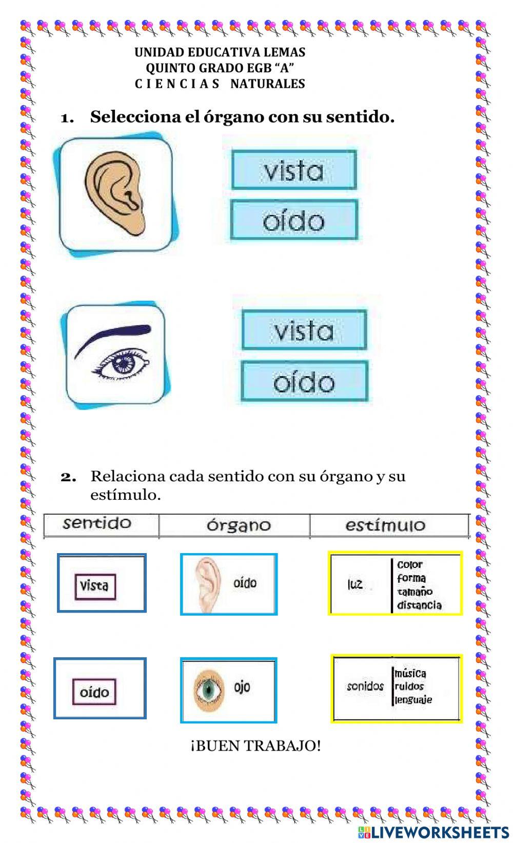 El sentido de la audición