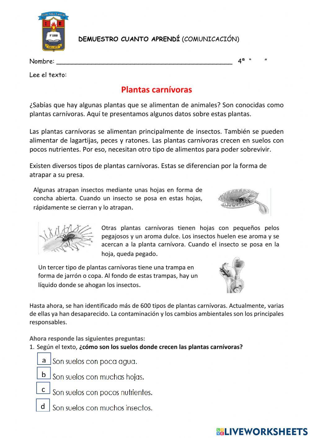 Evaluación Comunicación