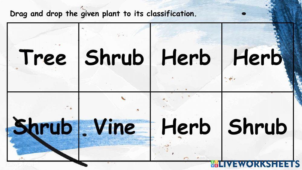 Types of Plants