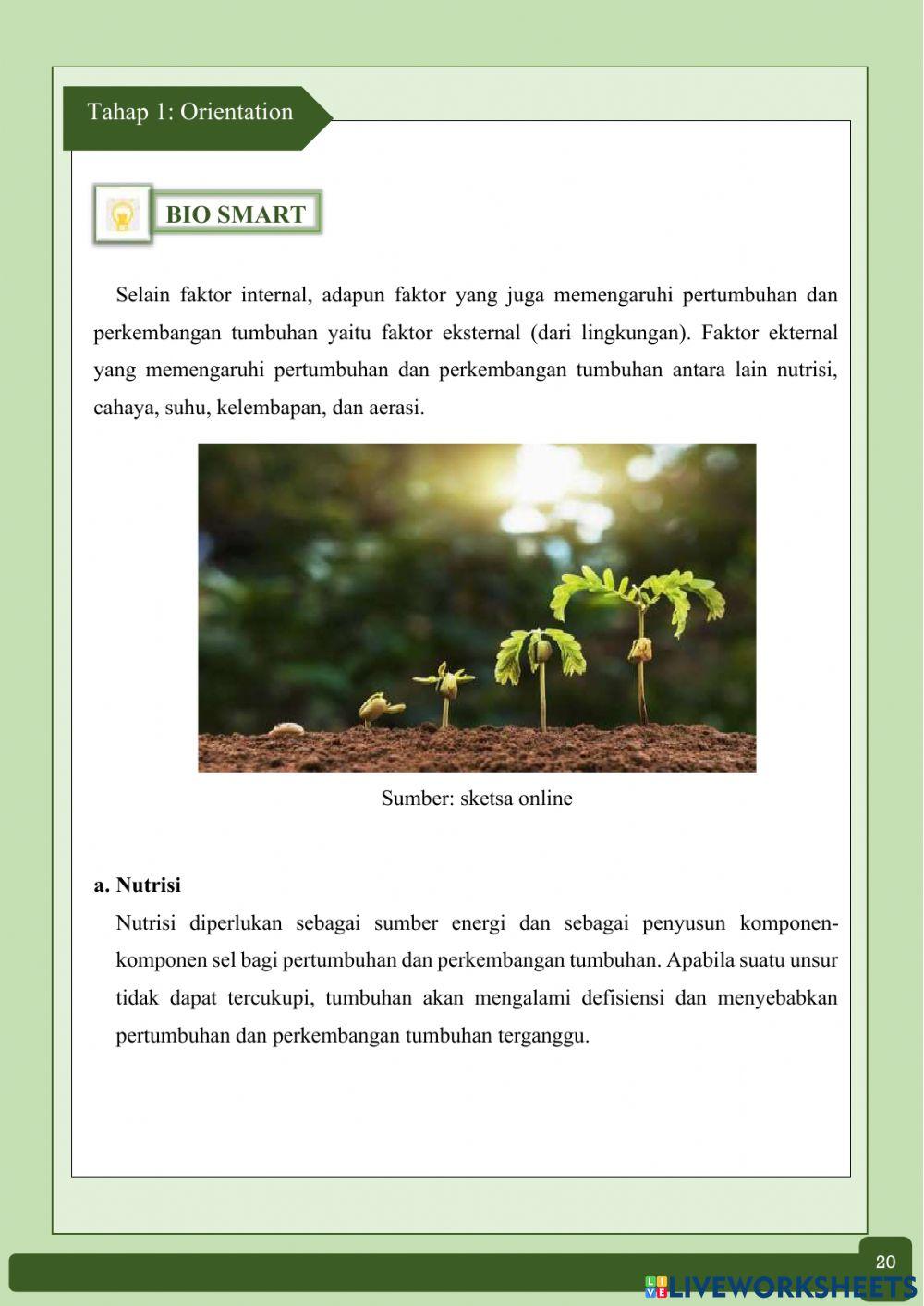 E-LKPD Pertumbuhan dan Perkembangan 2