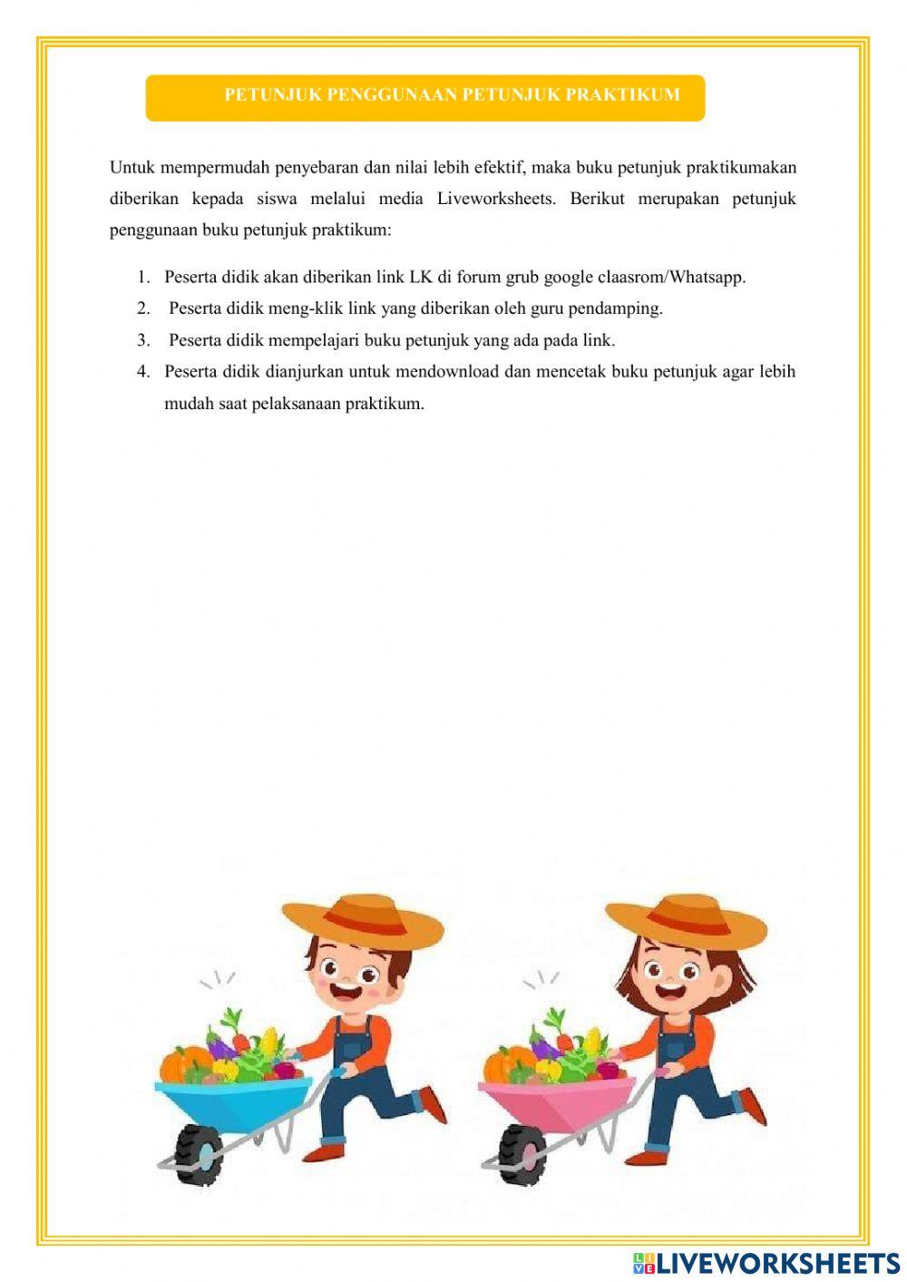 Buku petunjuk praktikum biologi