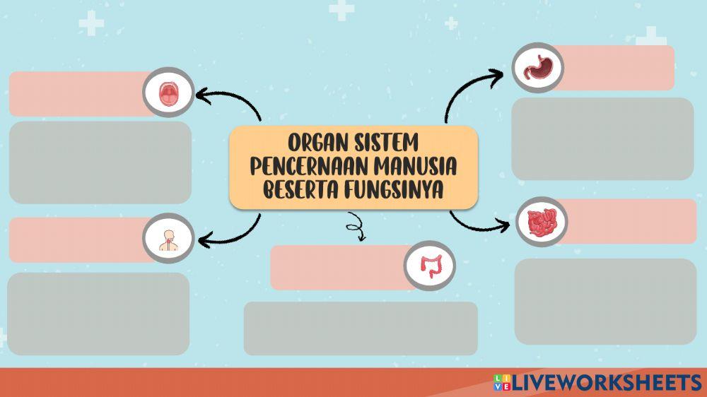 Mind map interactive worksheet for 5 | Live Worksheets