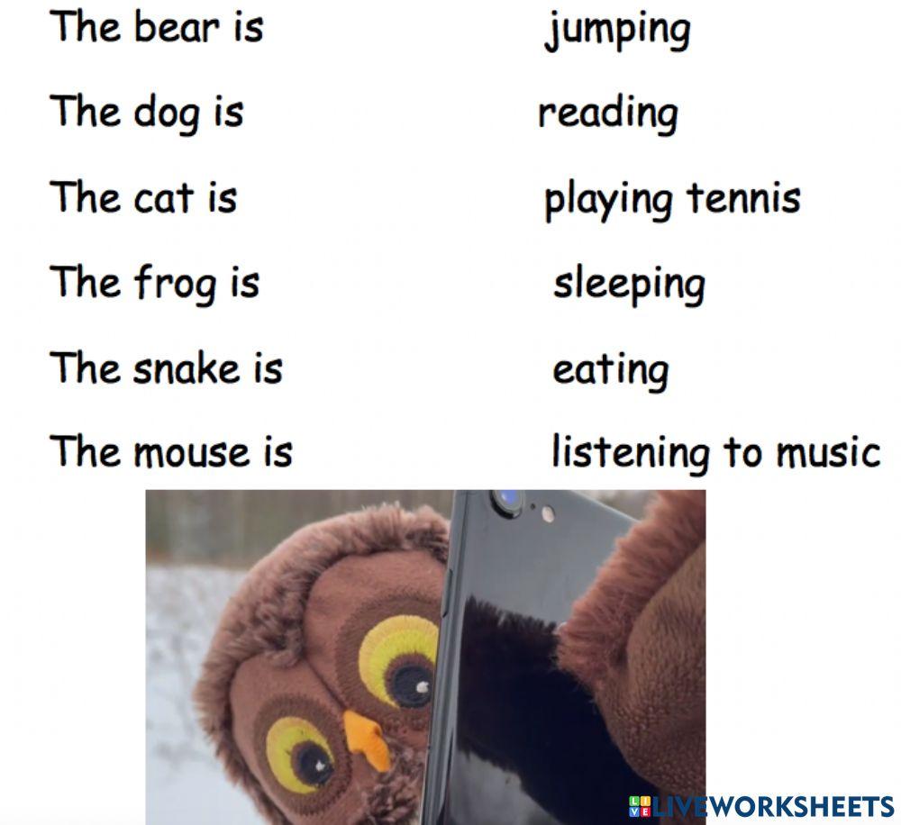 Mr Owl and his phone