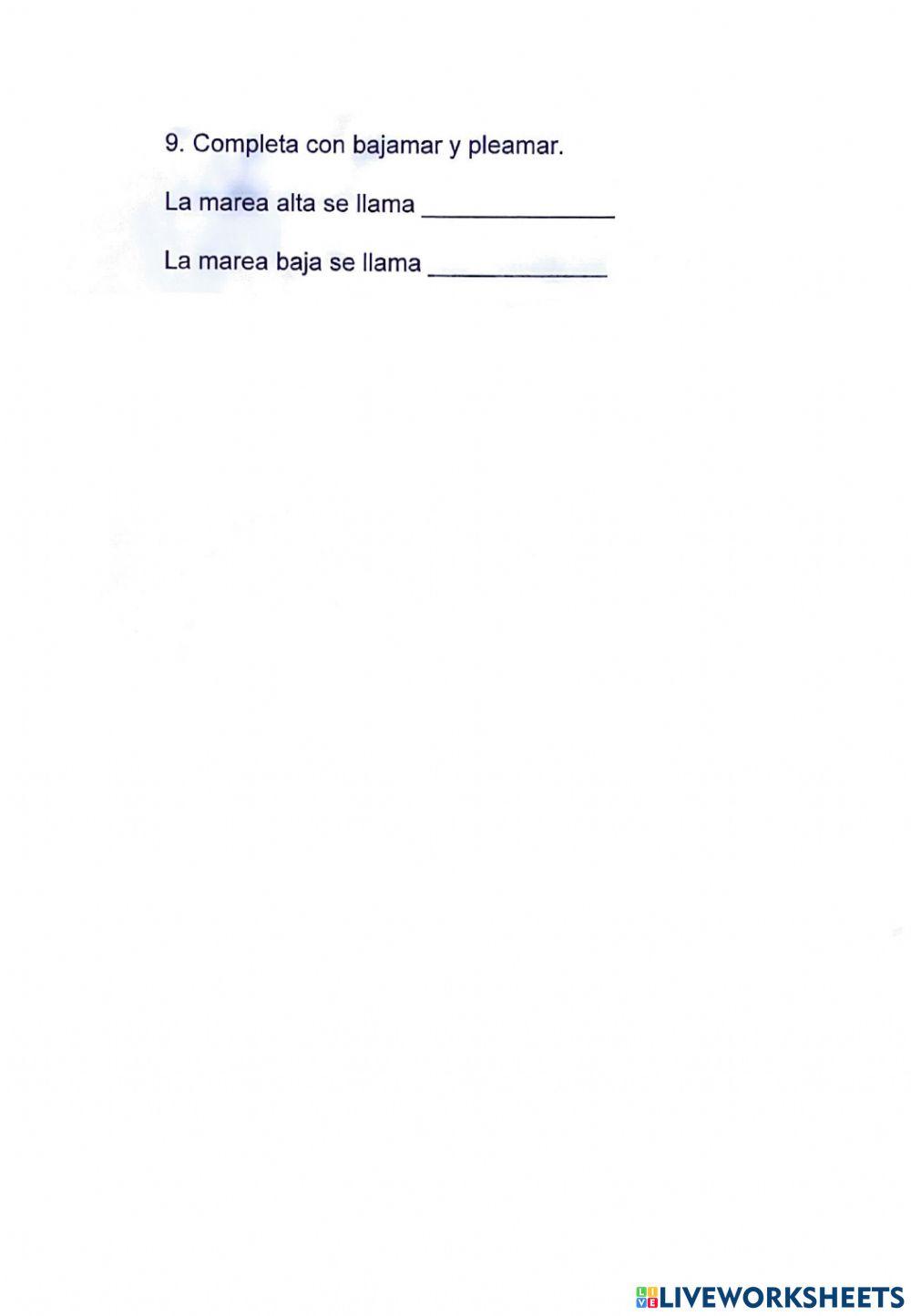 C.S. Tema 1- El universo