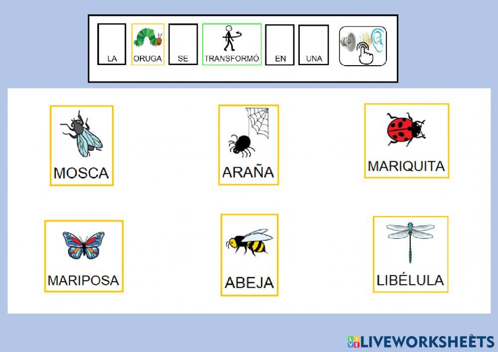 Cuento de la pequeña oruga glotona