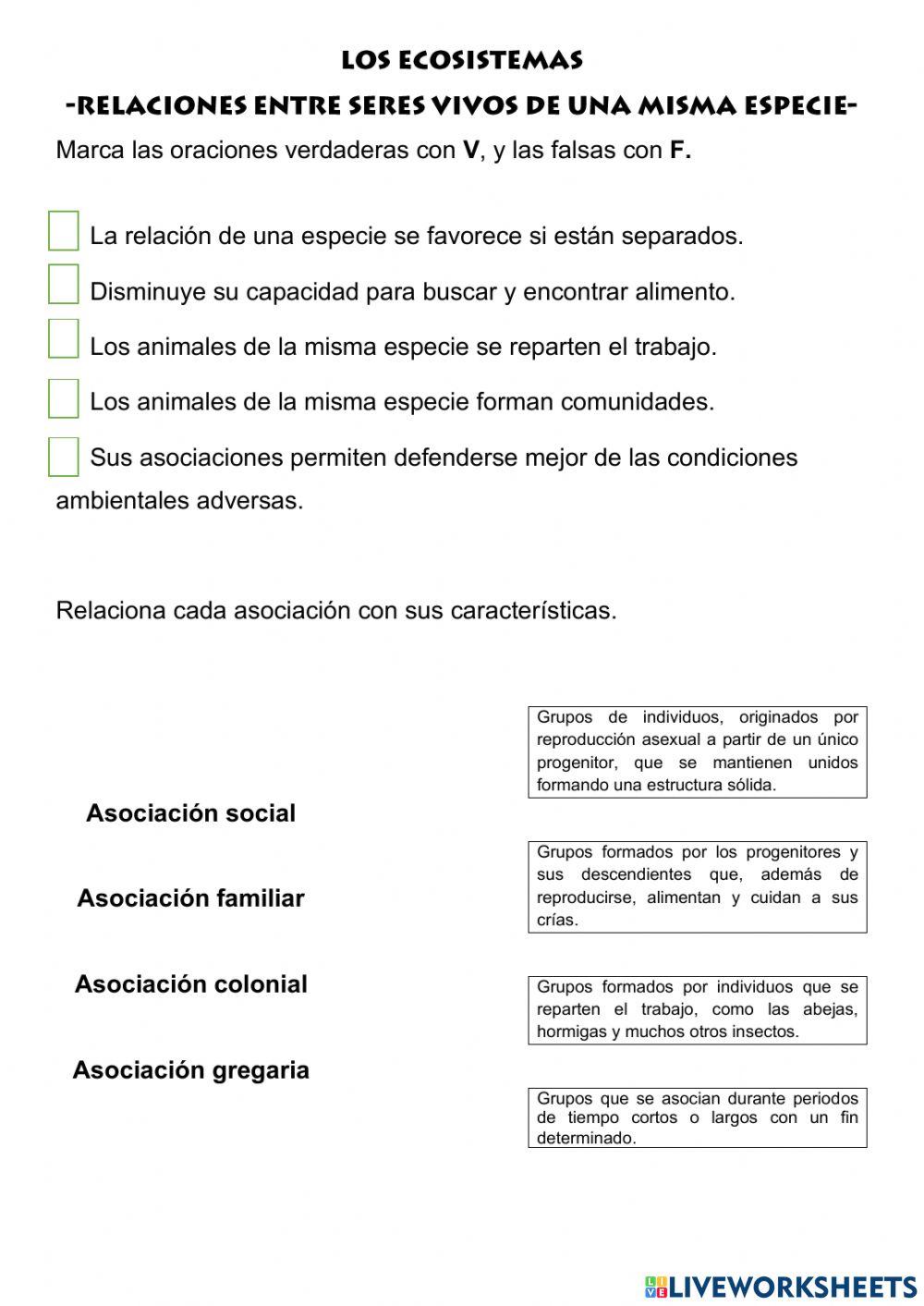 Relaciones entre seres vivos de una misma especie