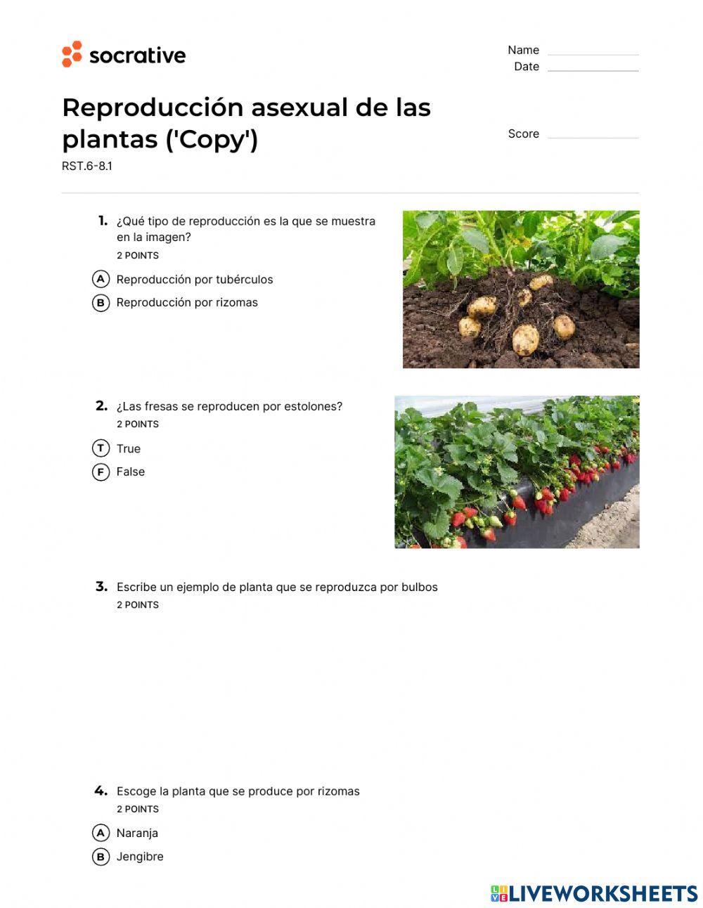 Reproducción asexual de plantas