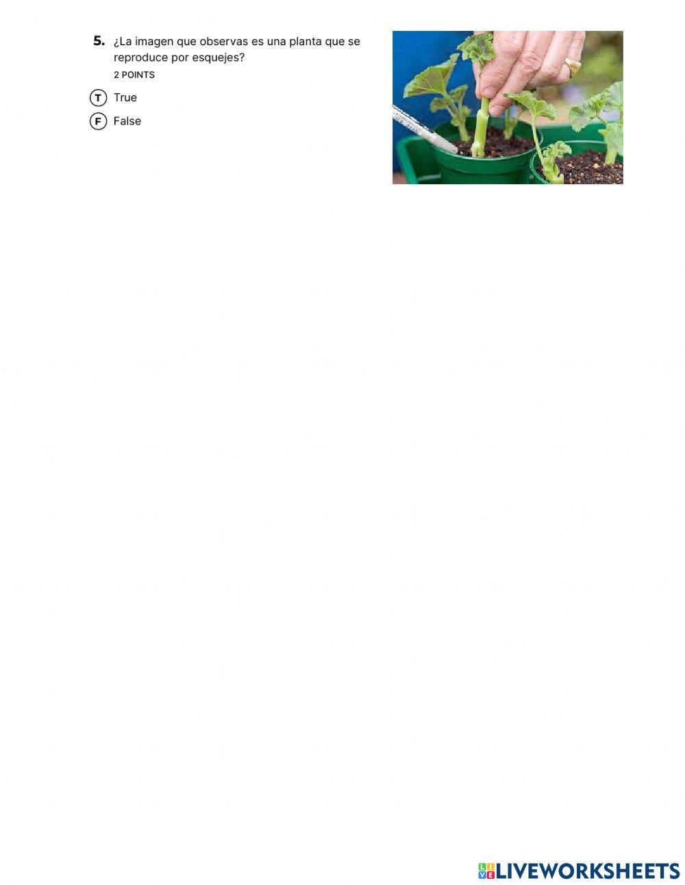 Reproducción asexual de plantas