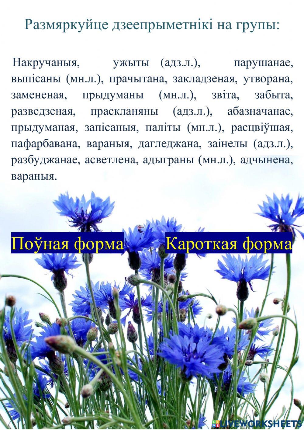 Поўная і кароткая формы дзеепрыметнікаў