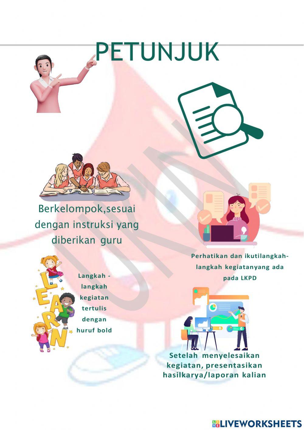 Sistem peredaran darah