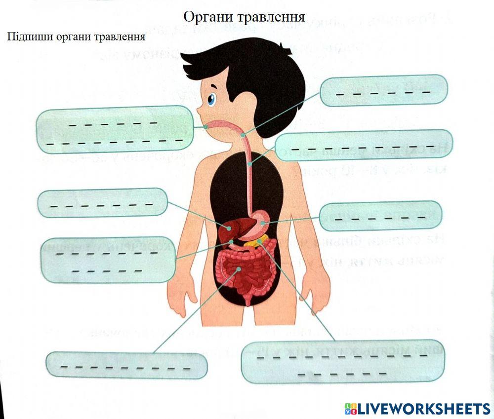 Харчування і здоров'є