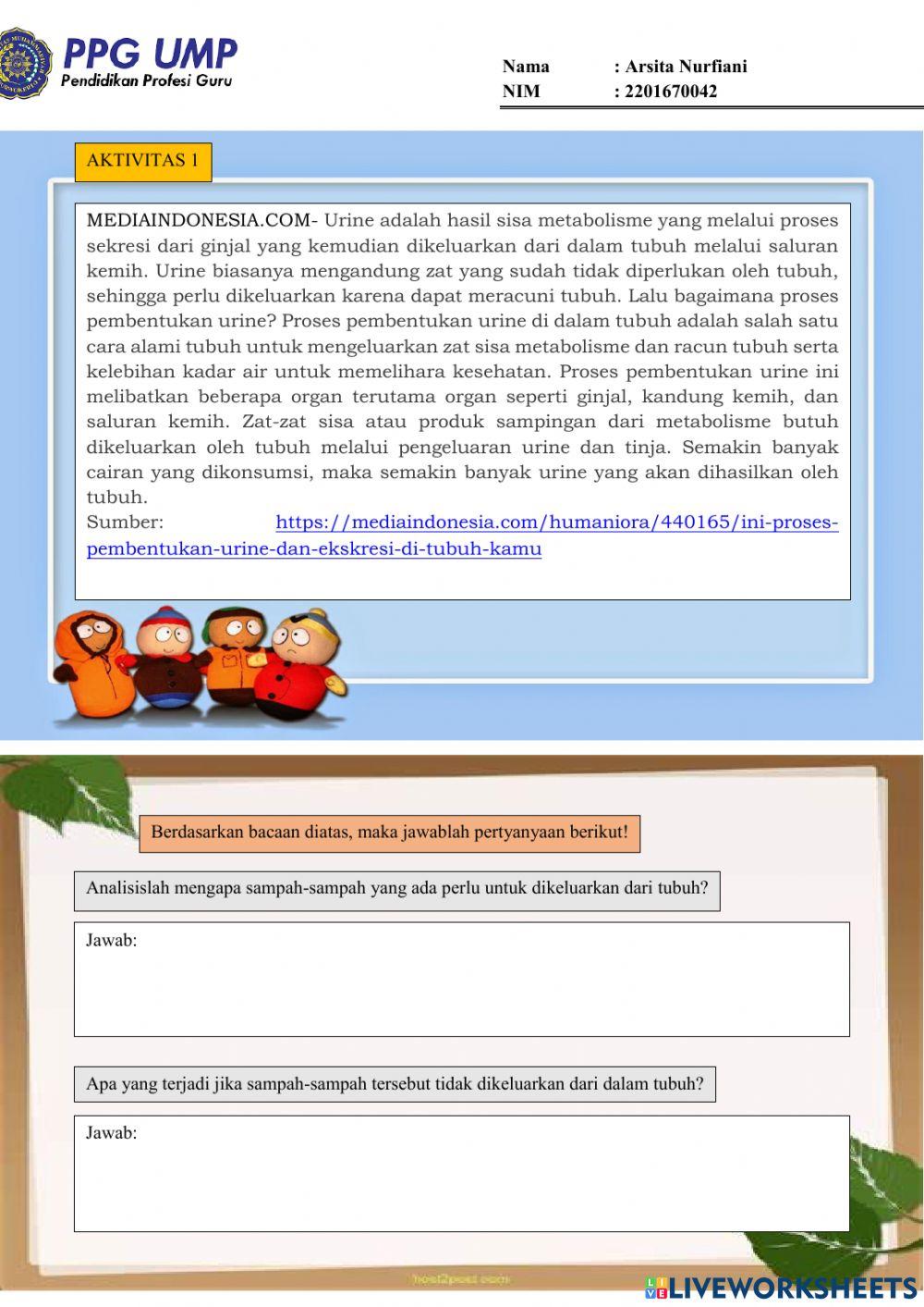 Lkpd ukin-sistem ekskresi ginjal